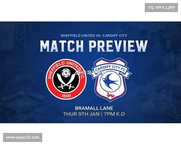 全面解析加的夫城俱乐部历年参与的各项主要足球联赛概况全貌